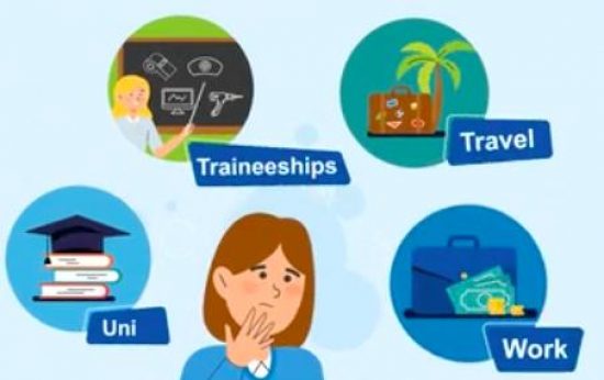 What is a traineeship?